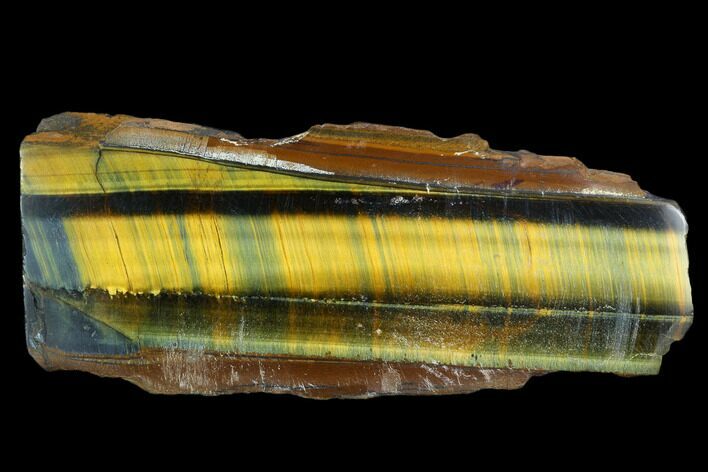 Polished Tiger's Eye Section - South Africa #128478
